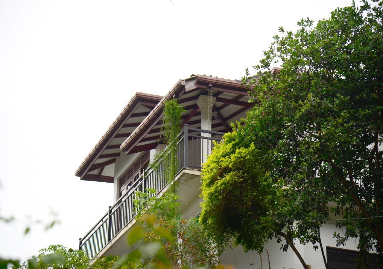 Dreamscape Home Stay Kandy Eksteriør billede